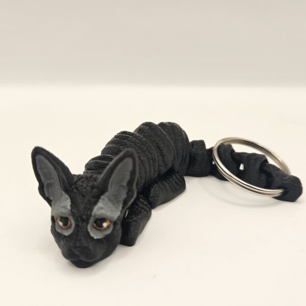 Kociak Devon Rex