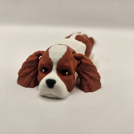 Szczeniak Cavalier King Charles Spaniel