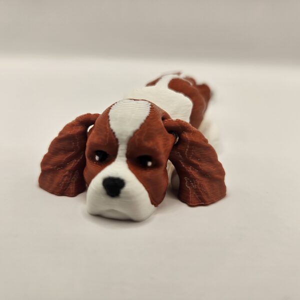 Szczeniak Cavalier King Charles Spaniel