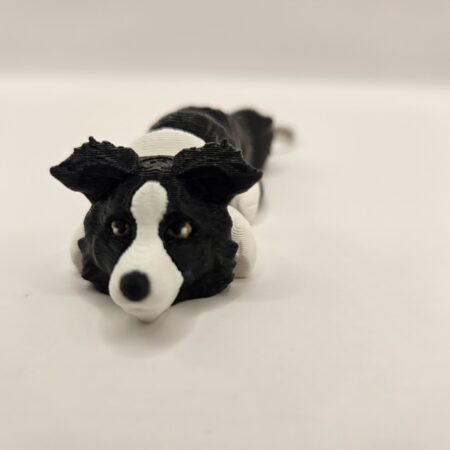 Szczeniak Border Collie