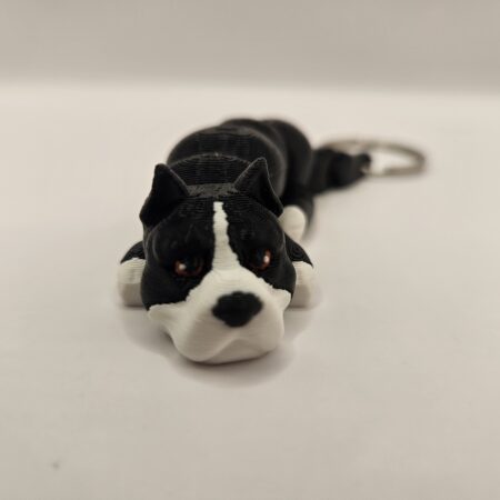 Szczeniak American Bully