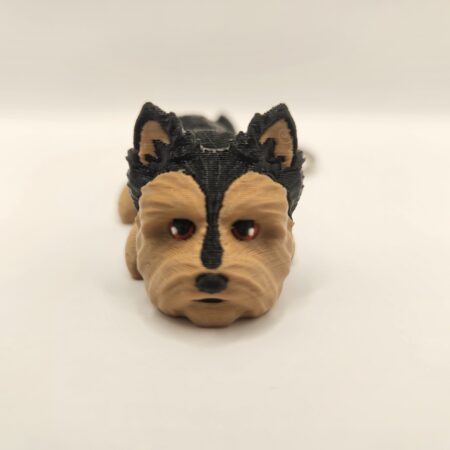 Szczeniak Yorkshire Terrier
