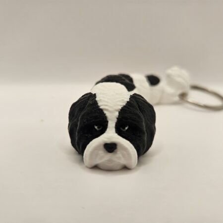 Szczeniak Shih Tzu