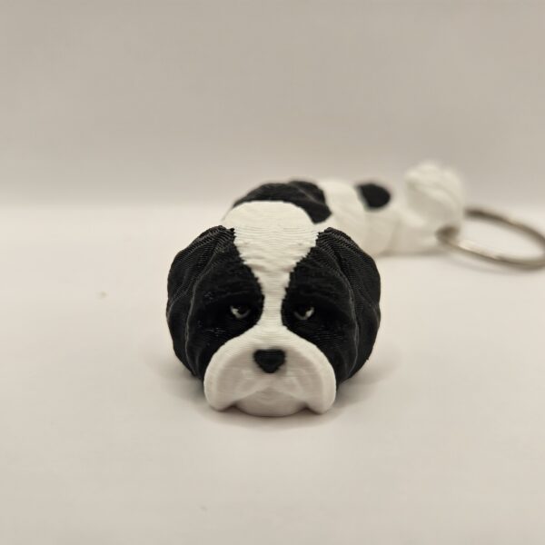 Szczeniak Shih Tzu